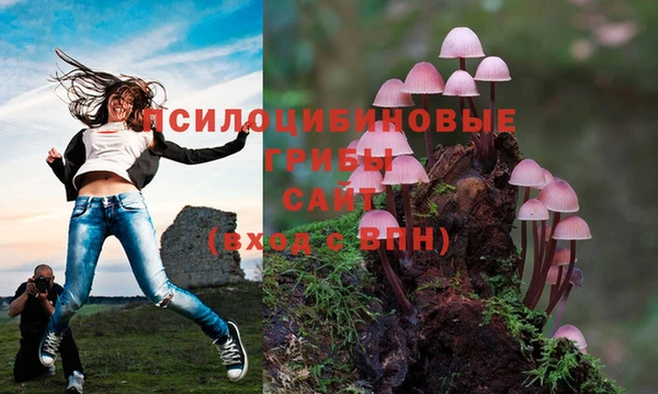 первитин Алексин