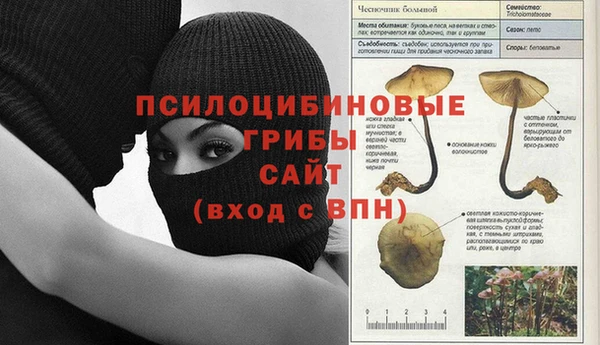 индика Алексеевка